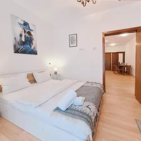 Apartament Belle Epoque Victoriei *