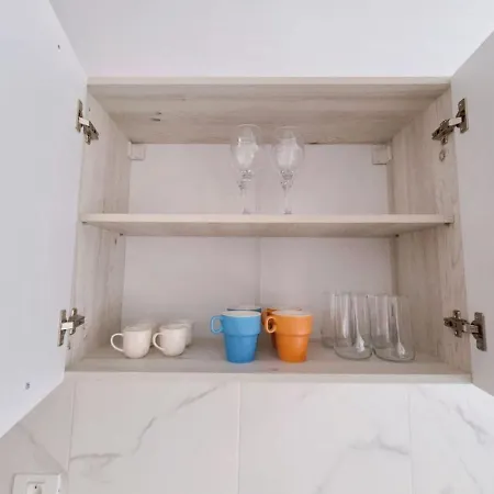 Apartament Belle Epoque Victoriei *